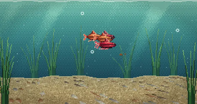 Why cherry barbs are the best community fish